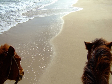 Melanie Heinrich - Travel Images - Barbuda